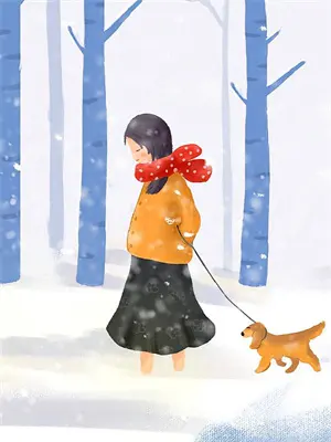 幕后布局小说